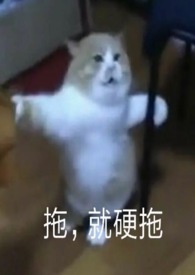 魅魔成长日记小说